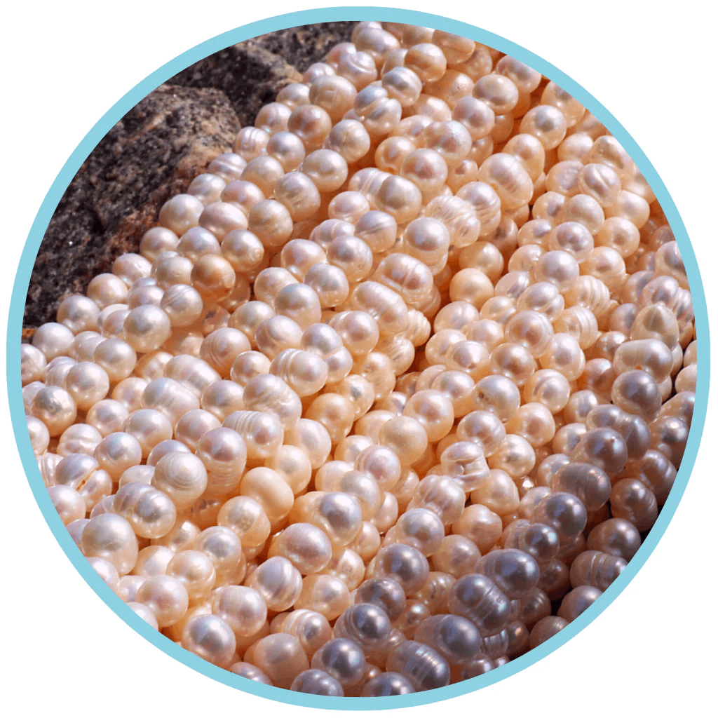 Shell &amp; Fresh Water Beads