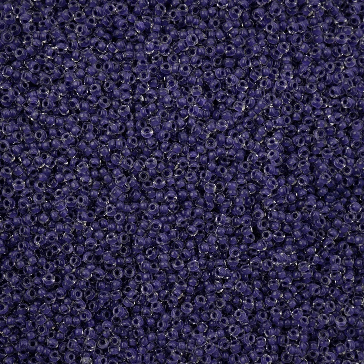 66401545v
