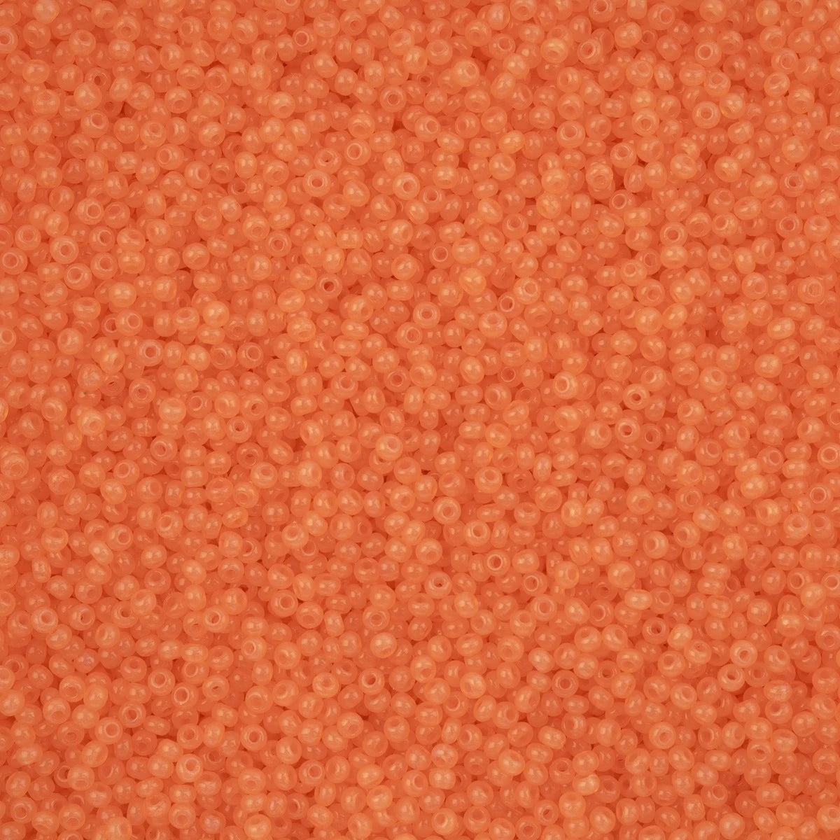 66443257v