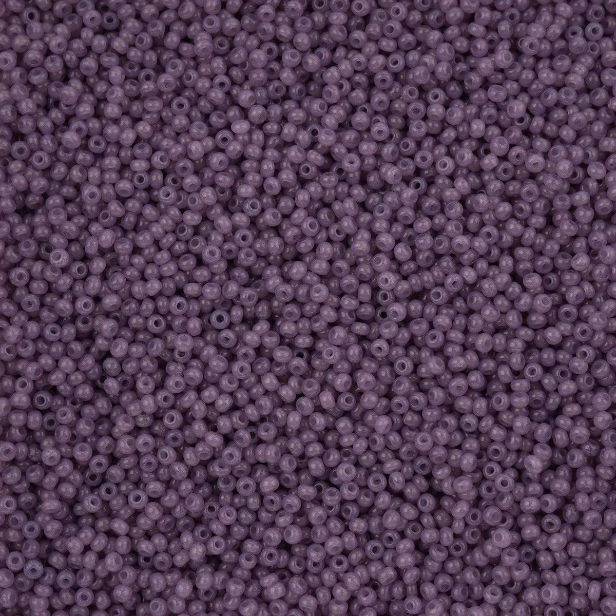 66443264v