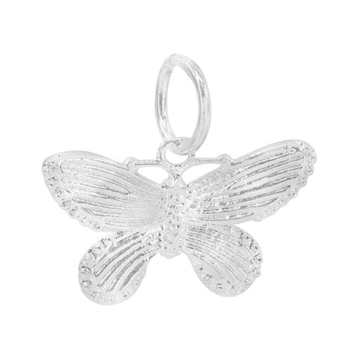 CHARM-RX161_2-510x510