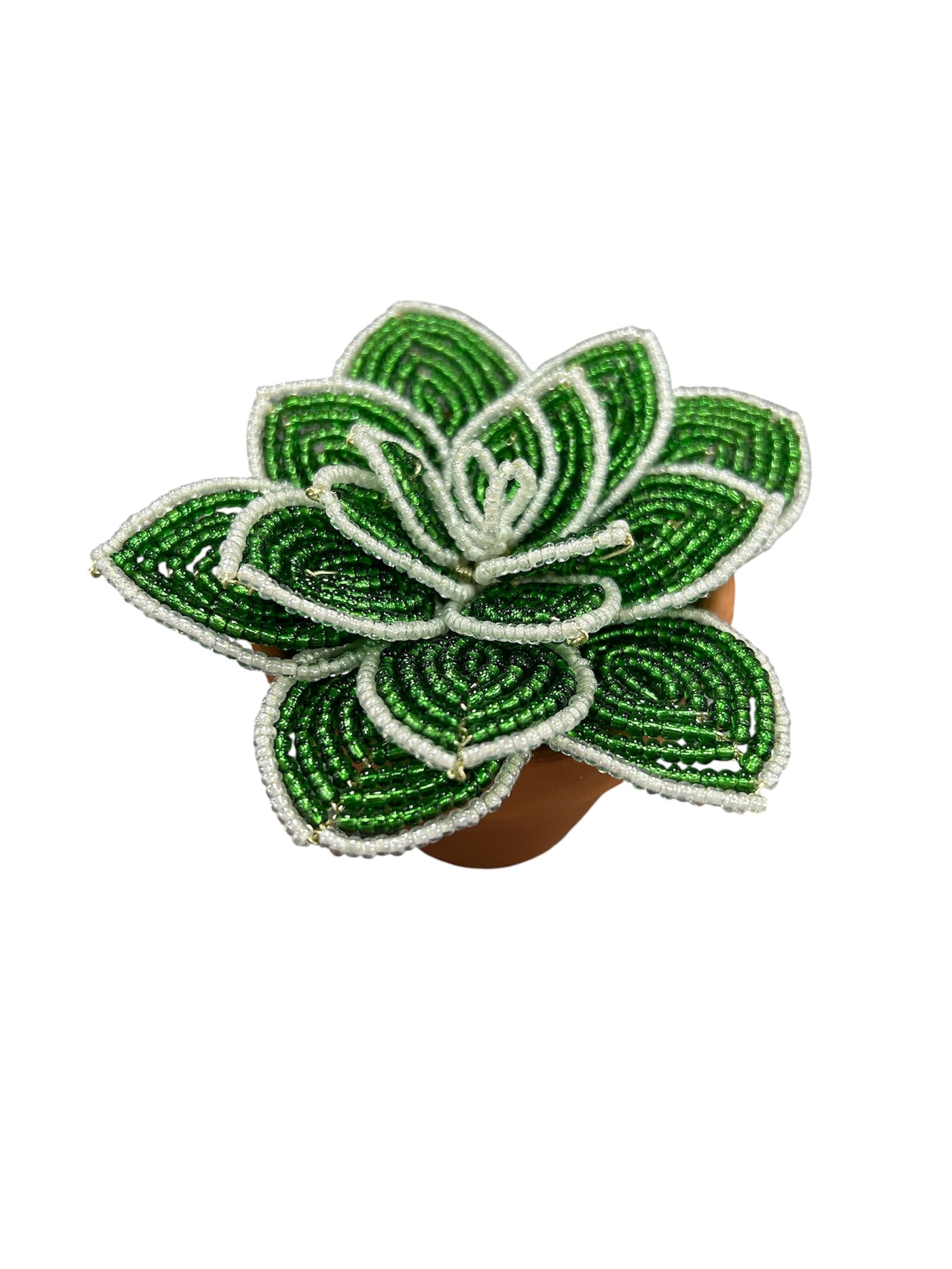 May-June 2026 Classes: French Beaded Succulent, Mini Flower Bouquet, Flowering Plant