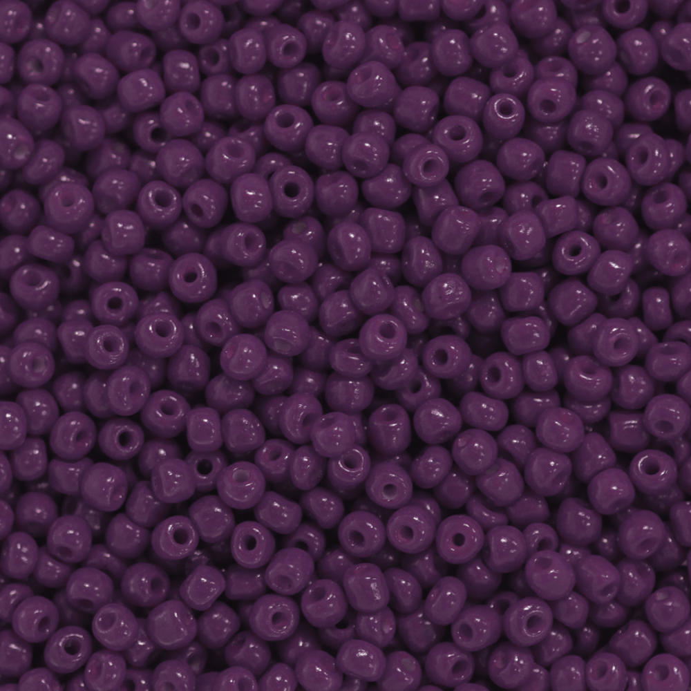 american_purple_op