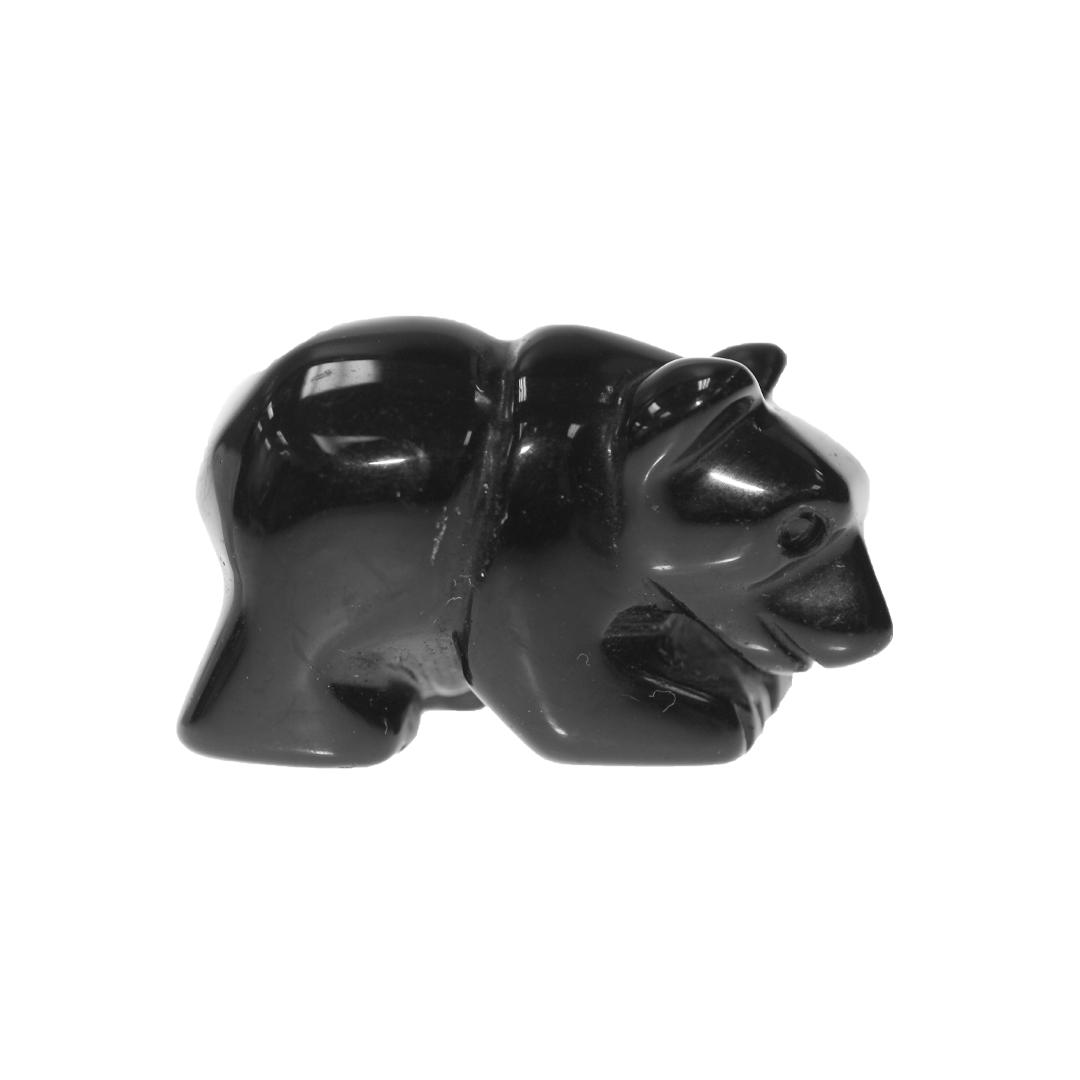 bear