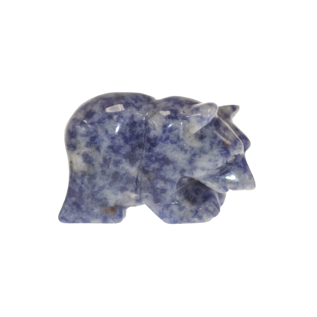 bear_spot