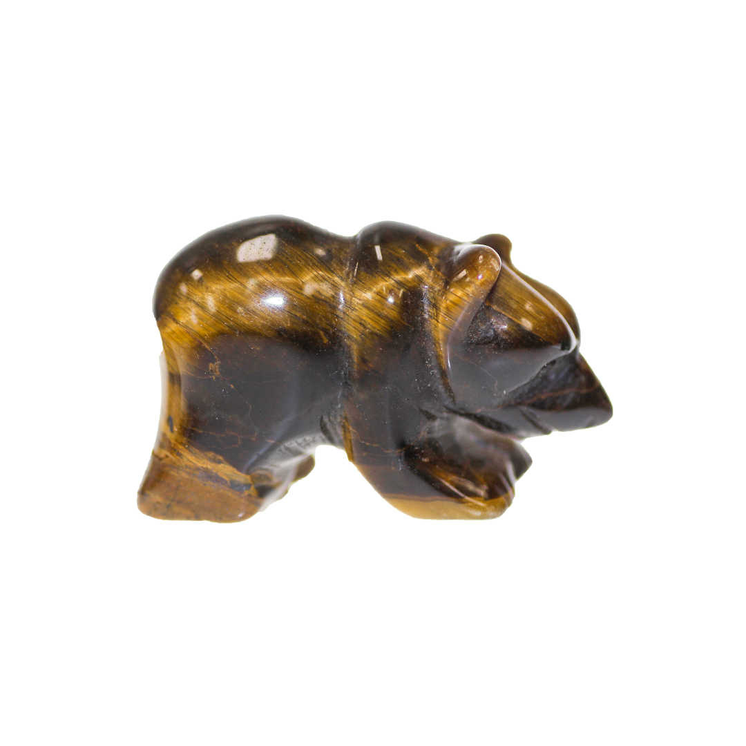 bear_tiger