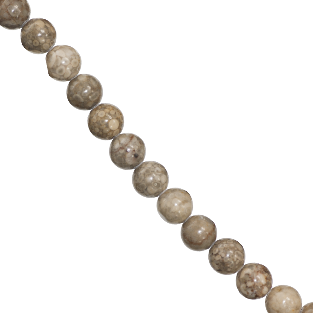 Chrysanthemum Jasper, Semi-Precious Stone, Available in Multiple Sizes