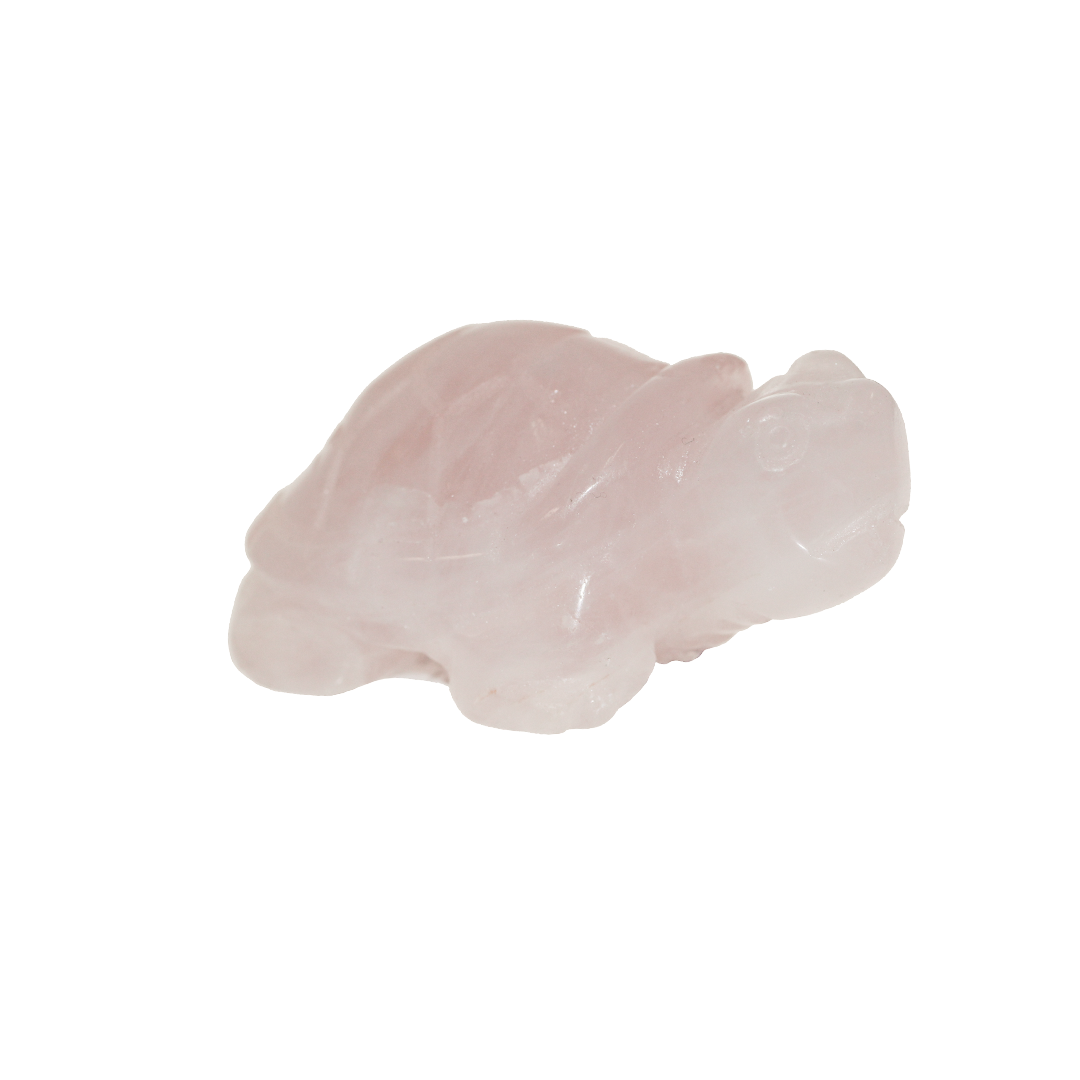 Turtle Stone, Semi-Precious Stone, Approx 51mm x 35mm, No Hole, Sold Per pkg of 1, Available in Multiple Gemstones