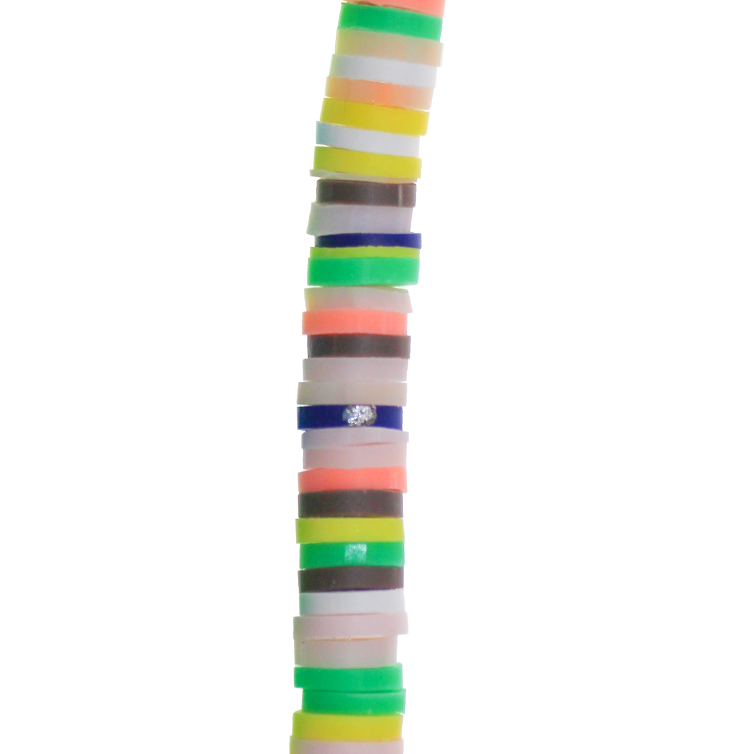 striped_heishi_nature