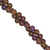 synthetic_sugilite
