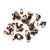 Clamshell, Copper, Alloy, 7mm X 4mm, Sold Per pkg of 75+