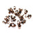Clamshell, Copper, Alloy, 7mm x 4mm, Sold Per pkg of 75+