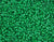 Miyuki Delica 11/0 - RD Green Kelly Dyed -DB00-0655V