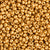 Miyuki 6/0 - Duracoat Galvanized Gold