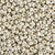 Miyuki 11/0 - Silver Galvanized-1051V