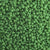 Miyuki 15/0 - Spring Green Opaque Duracoat