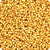 Miyuki Delica 11/0 - Duracoat Galvanized Gold -DB00-1832V