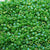 Miyuki Delica 11/0-Green Opaque AB-DB00-0163V