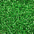 Czech Seed Beads - Czech 11/0 - Lime Green Silverlined (40)