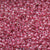 Czech Seed Beads - Czech 11/0 - Red Colorlined (31)