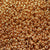 Czech Seed Beads - Czech 11/0 - Gold Metallic (13A)