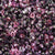 Czech Seed Beads, 22g vial 10/0, Lilac Mix (8)