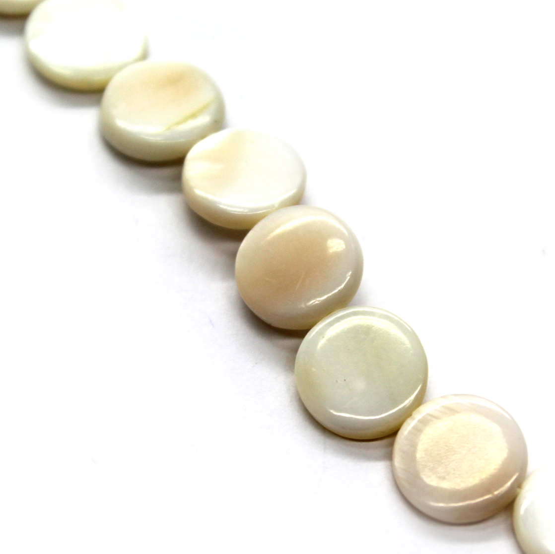 White Circle Shell, Shell Beads, 10mm, 40 pcs per strand
