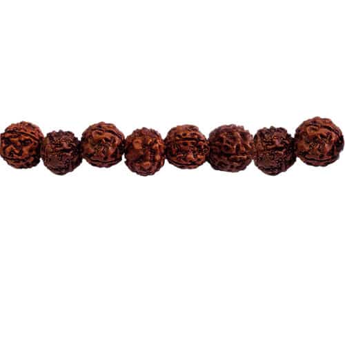 Rudraksha Beads, Wood Beads, Available in Multiple Sizes