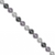 Shell Pearls, Available in Multiple Colours and Sizes