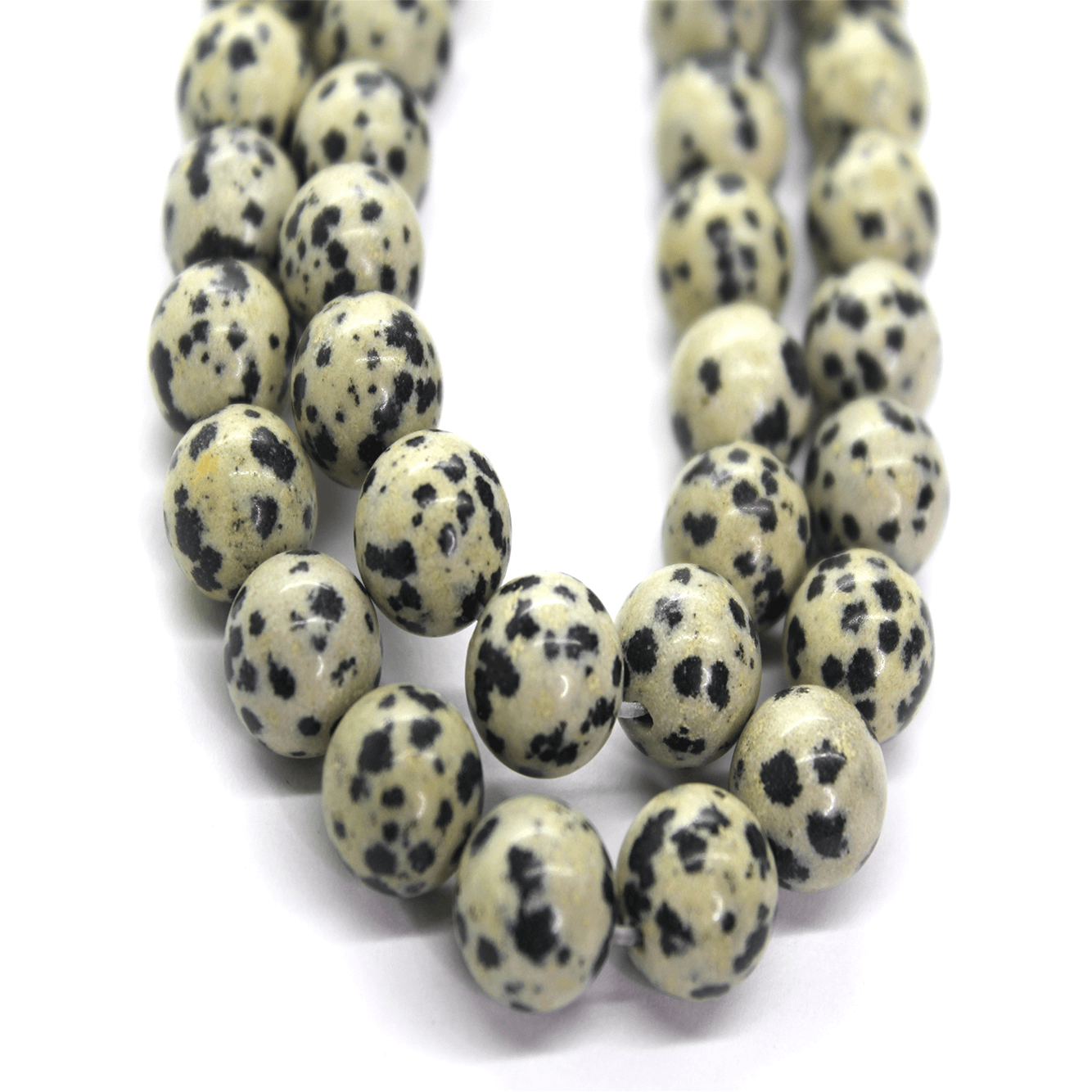 dalmation