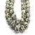 dalmation