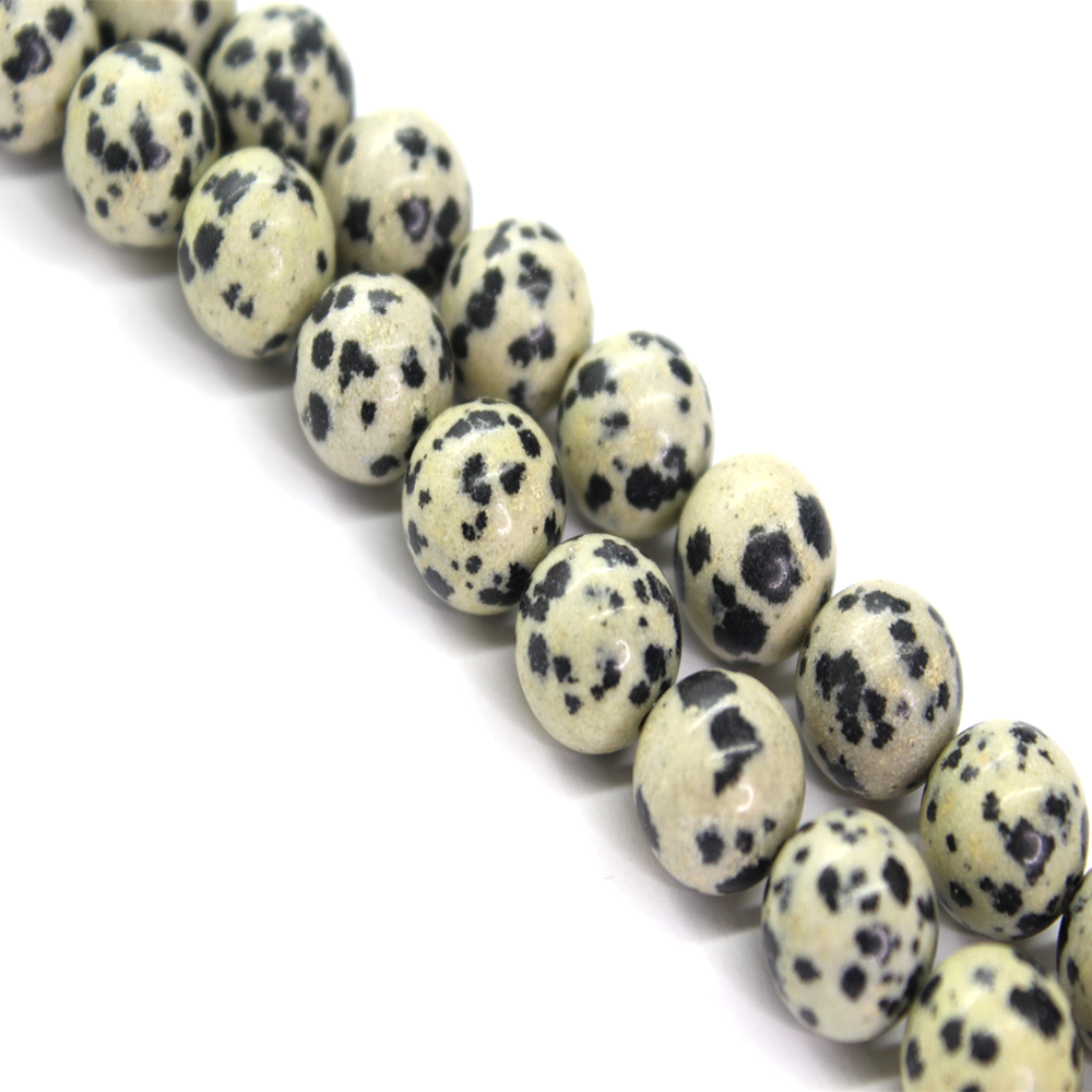 dalmation