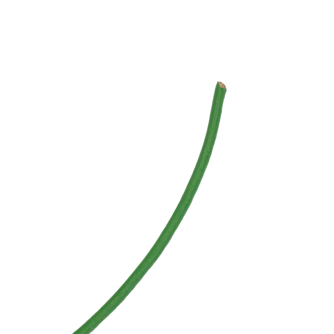 Leather Cord, Available in 9 Colours and 2 Sizes, Sold per Yard