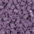 lavenderperler