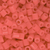 neoncoralperler