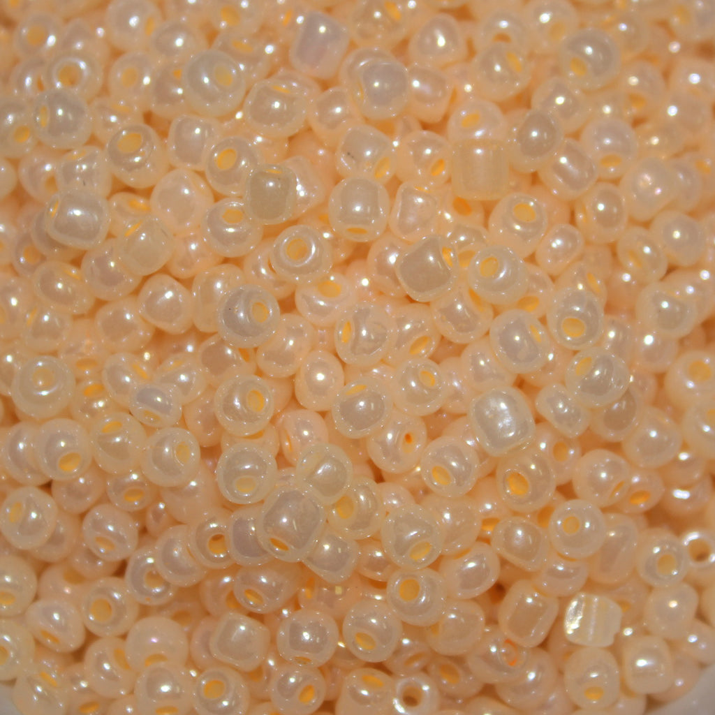 Seed Bead Bulk Bags - 8/0 - Apricot  Ceylon- 449g/13,000pcs