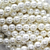 Shell Pearls, White, 14mm x 1mm (hole), 28pcs per strand