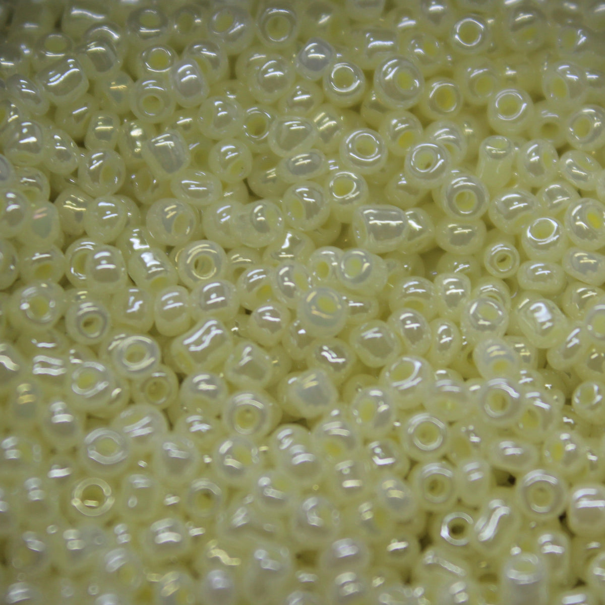 yellowpearlluster6and8