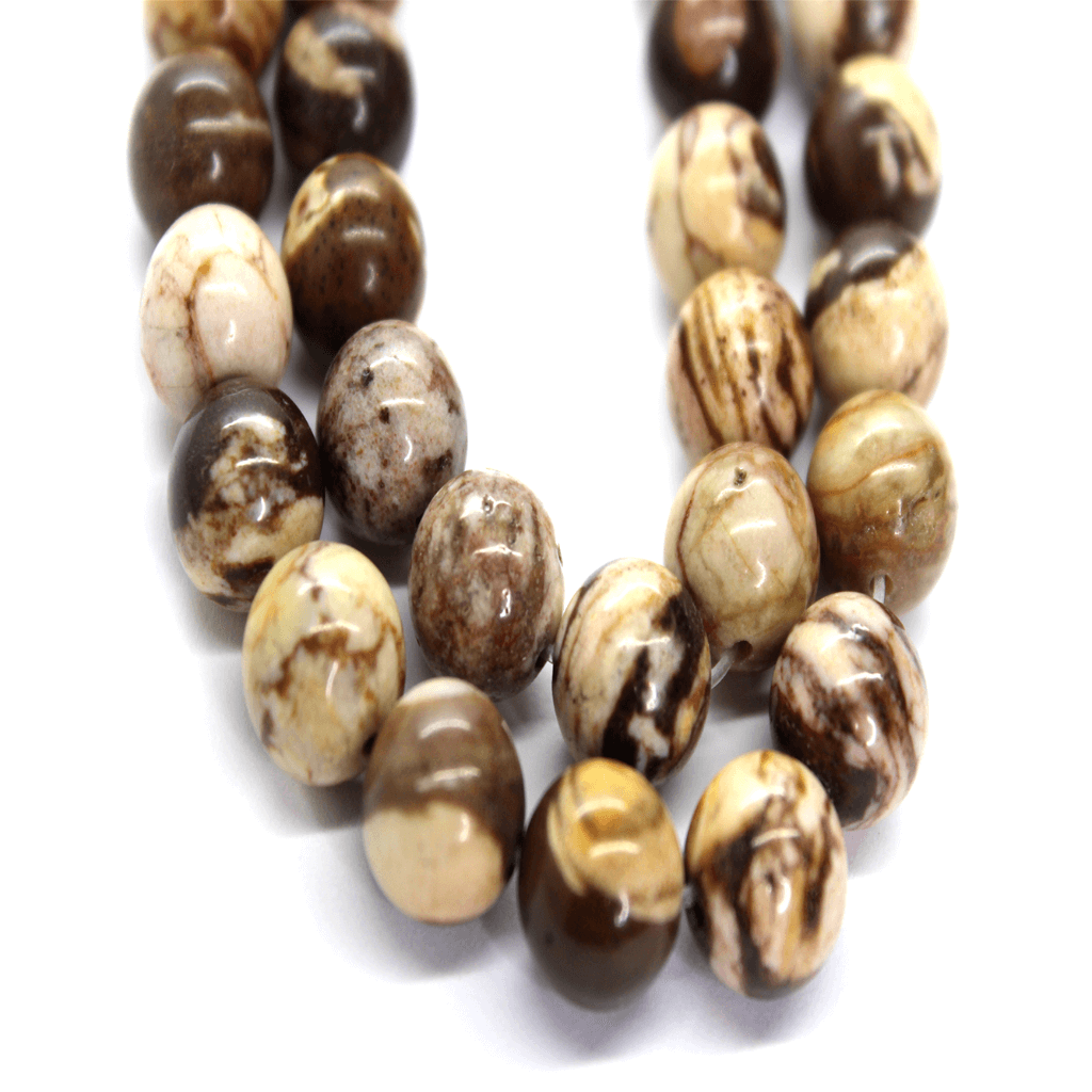 zebrajasper