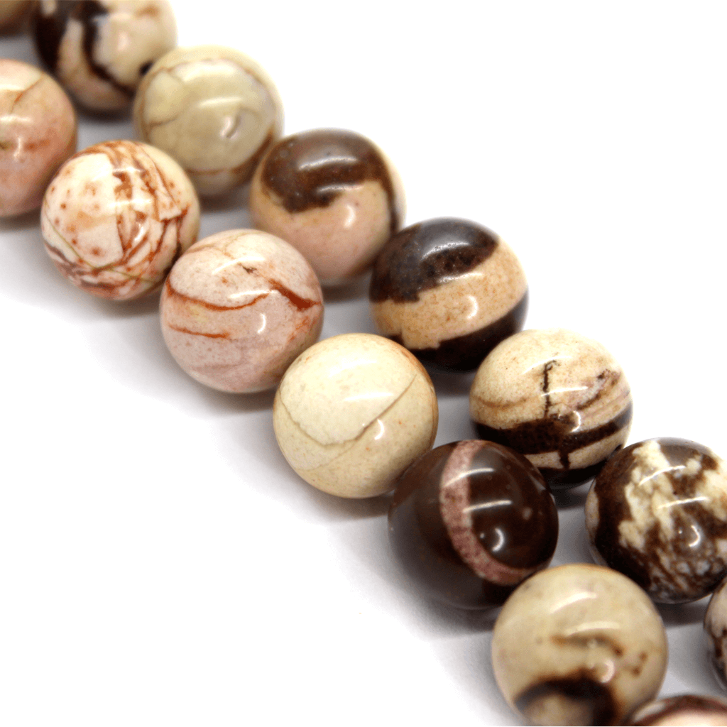 zebrajasper