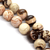 zebrajasper
